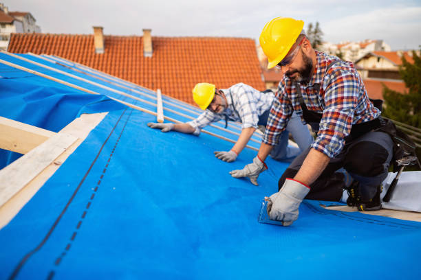 Best Residential Roofing Contractor  in Macon, IL